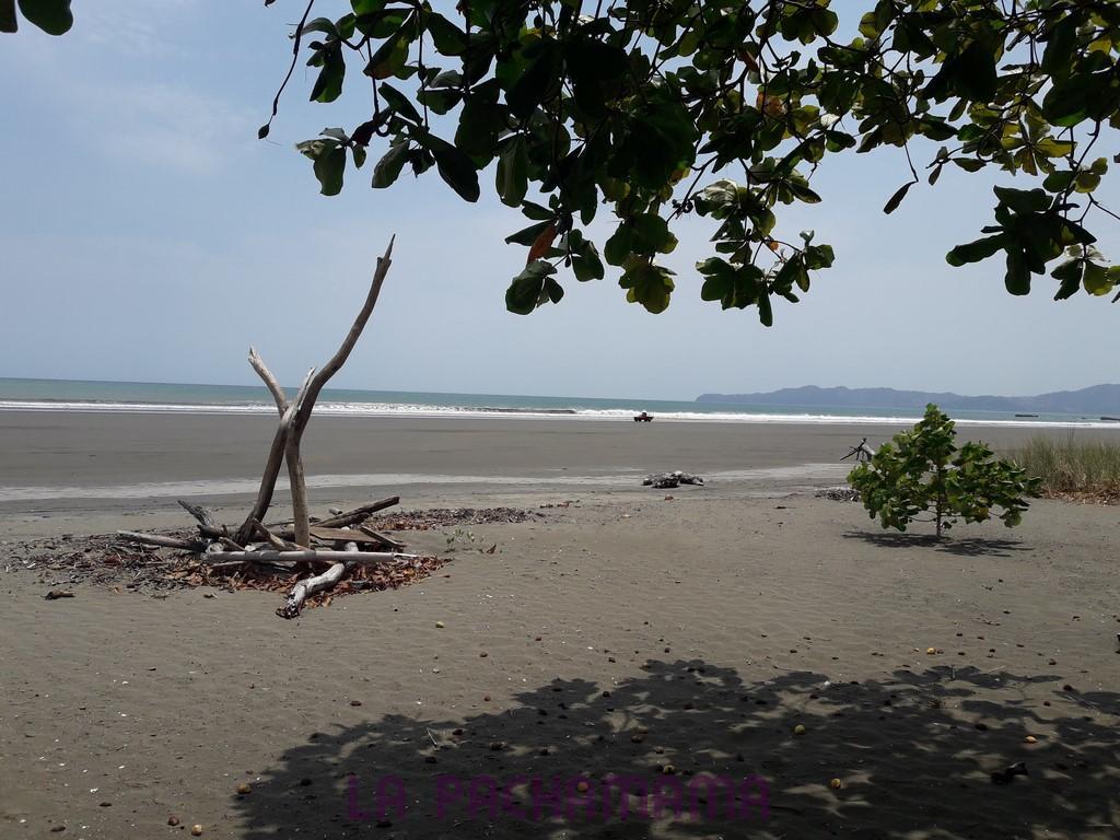 Hostal Pachamama Isla de Canas Kültér fotó