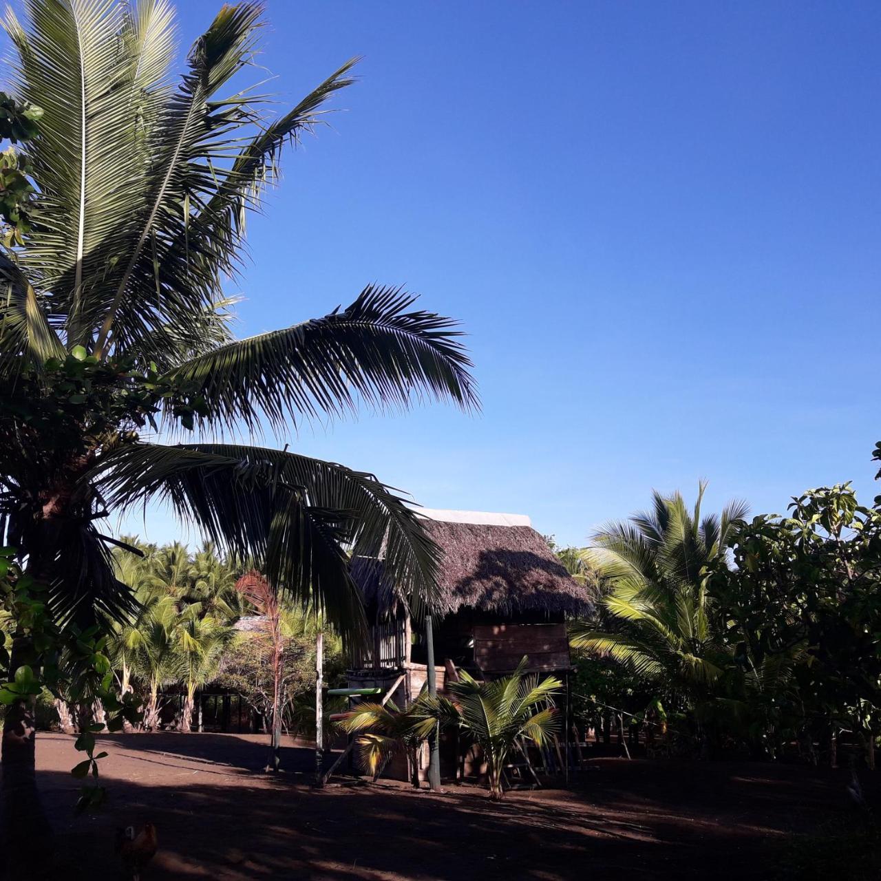 Hostal Pachamama Isla de Canas Kültér fotó